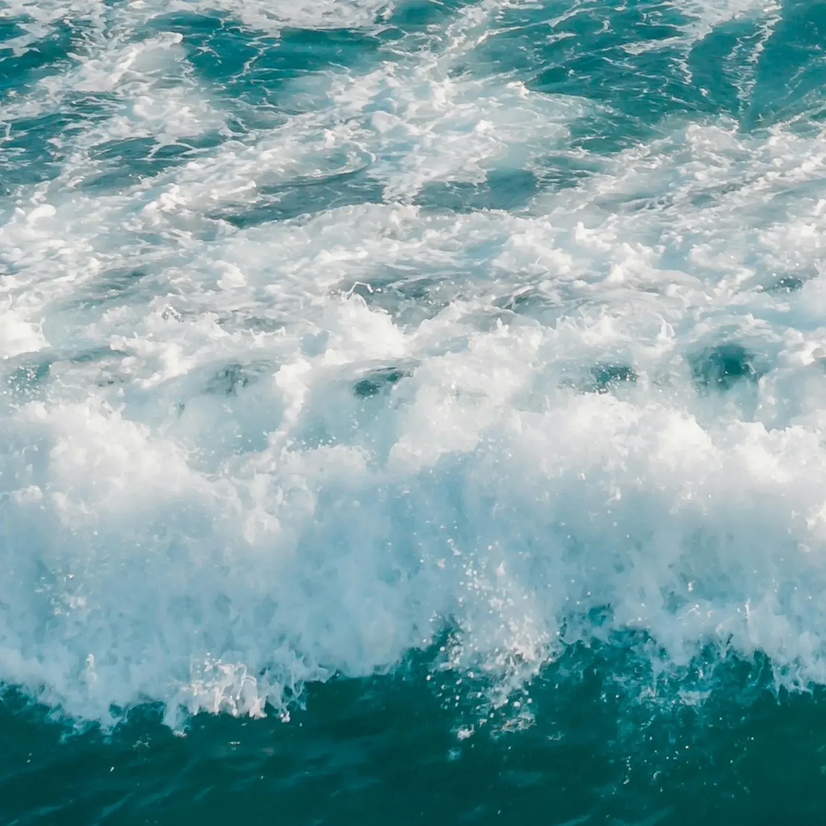 Zdjęcie profilowe organizatora