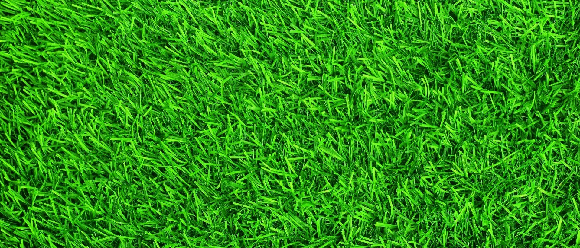 Zdjęcie tła oferty