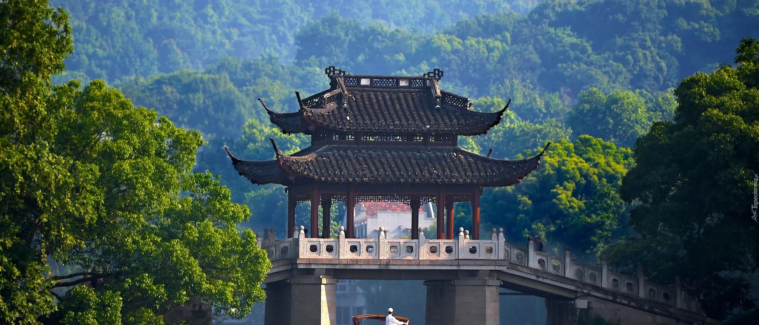 Zdjęcie tła oferty