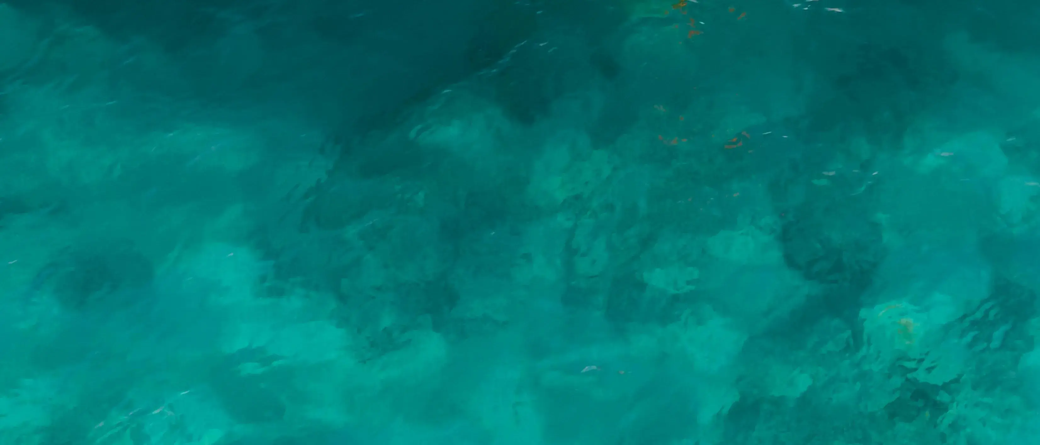 Zdjęcie tła oferty