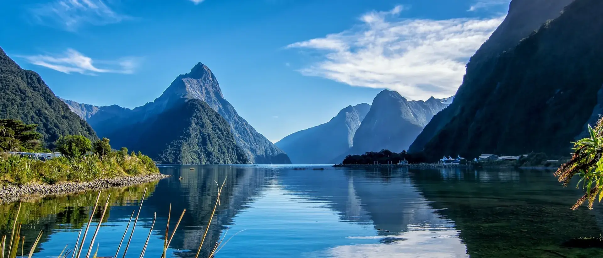 Zdjęcie tła oferty