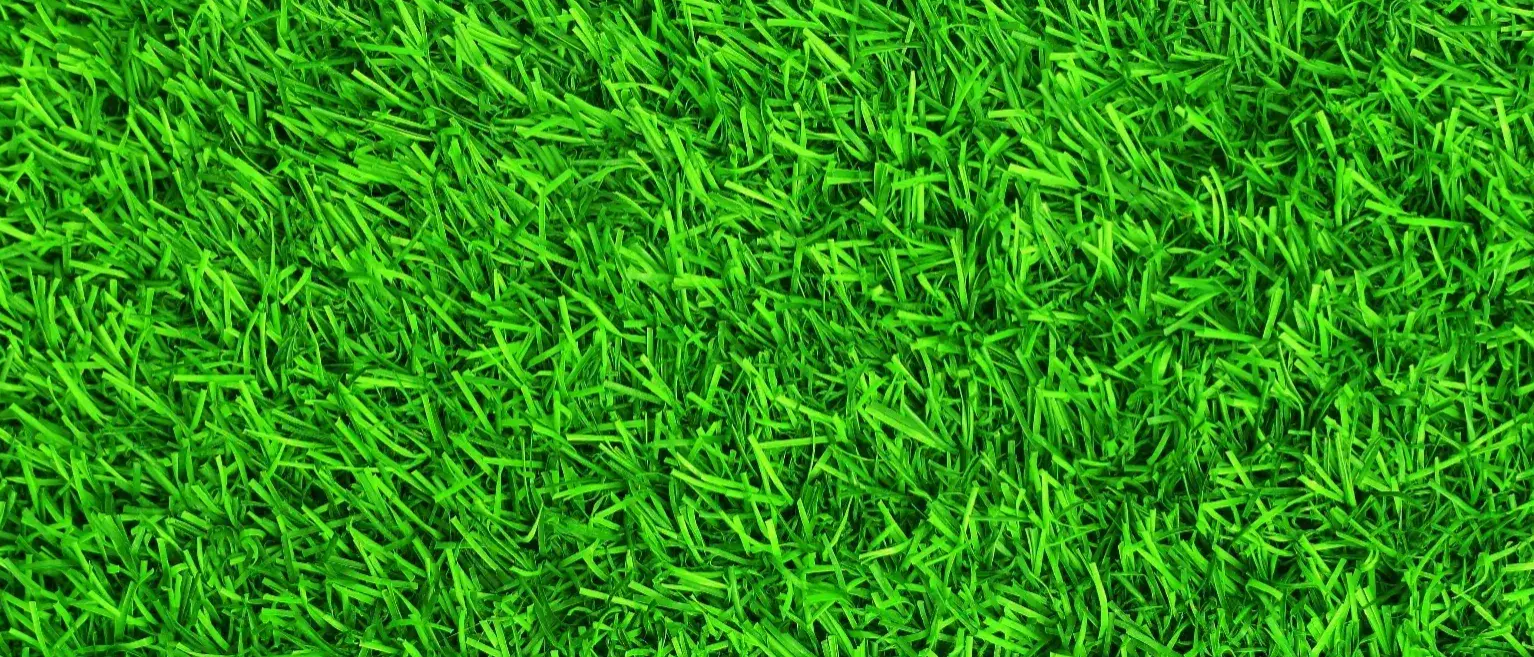 Zdjęcie z programu wyjazdu